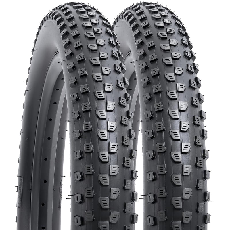 YunSCM 2 ks Skladací plášť na bicykel 20 palcov 20x3.0 (76-406) pre elektrobicykle, MTB a mestské bicykle