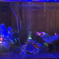 Set Decorațiune Vulcan pentru Acvariu YWNYT, Piatră de Aer cu Lumină LED Multicoloră, Ornament cu Bule pentru Acvariu și Pești 8