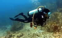 ZCCO 3mm Neoprén Teljes Test Wetsuit Cipzárral Búvárkodáshoz 7