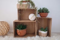 Ladă de depozitare din lemn Zeller Present în stil vintage, culoare naturală, 35 x 25 x 20,5 cm – ladă decorativă din lemn pentru casă 3