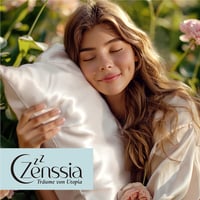 Zenssia 100% Selyem Párnahuzat 40x80cm Fekete Rejtett Cipzárral - 40 x 80 cm, Black 5