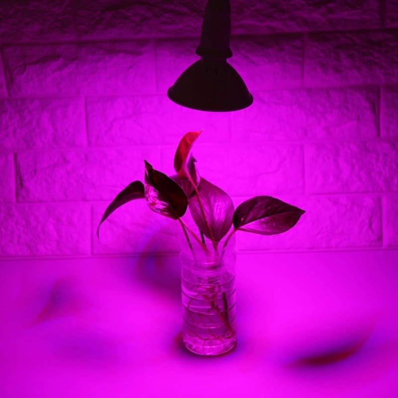 Zerodis 24W E27 LED növénynövesztő lámpa teljes spektrum 200 LED