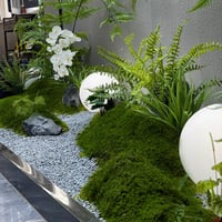 Zhixan umjetni konzervirani tepih od mahovine, 100x100 cm, dekorativna umjetna mahovina, zelena zidna dekoracija za unutarnje i vanjske prostore 6