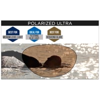 Ochelari de înot Zoggs Predator Flex Polarized Ultra pentru adulți, mărime mai mică, pentru apă deschisă, anti-aburire, reglare ușoară 5