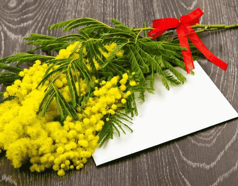 festa della donna napoli 2025