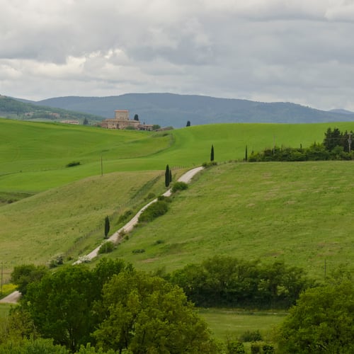 Quali sono le pianure della Toscana? viaggio tra i bassopiani verdi