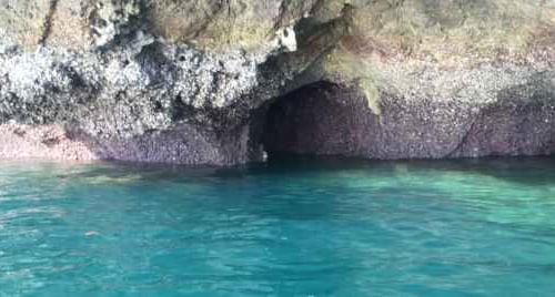 Grotta dello Smeraldo: come visitarla e come arrivare a Conca dei Marini