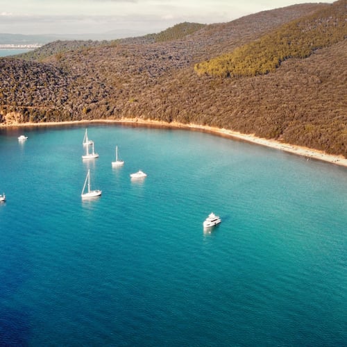 Cala Violina: come arrivare, prenotare e cosa sapere