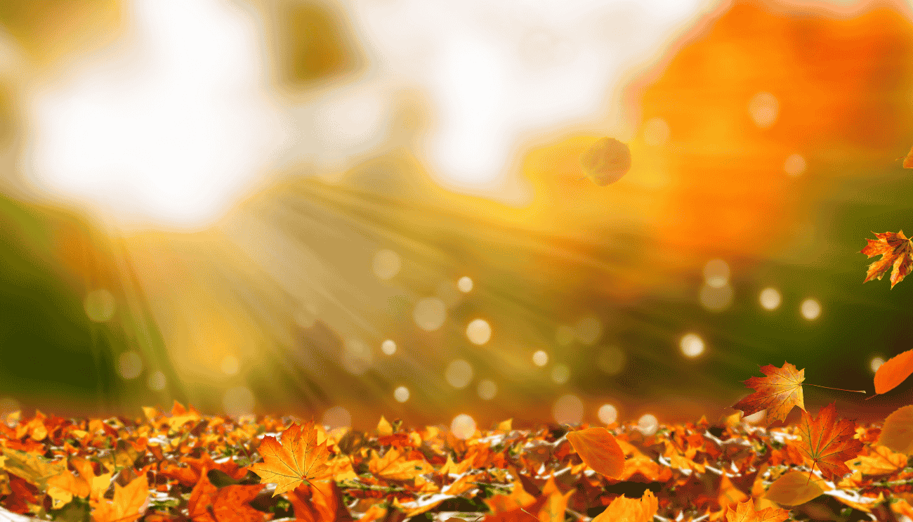 sagre autunno in lombardia