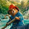 "Paddington 4" è ufficialmente in lavorazione