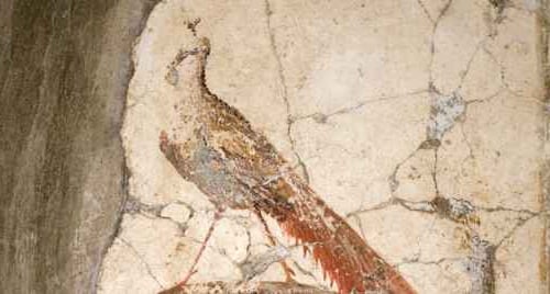 Villa di Poppea a Oplontis: Guida alla lettura del sito