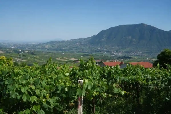 pic nic benevento