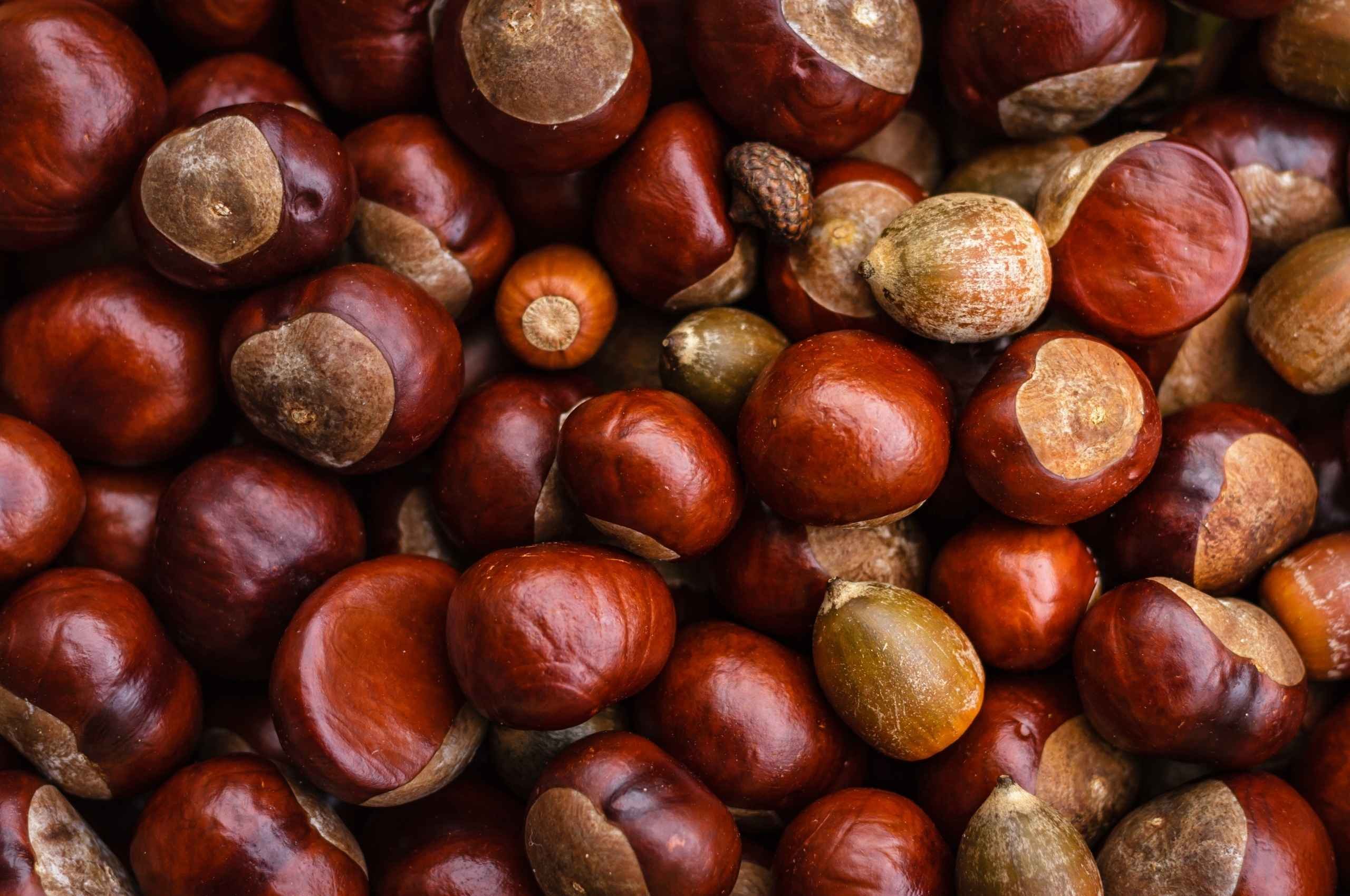 Sagre autunnali in Lombardia 2026: il calendario degli eventi enogastronomici