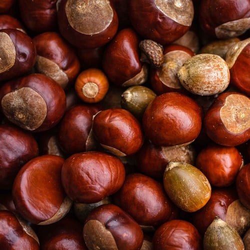 Sagre autunnali in Lombardia 2026: il calendario degli eventi enogastronomici
