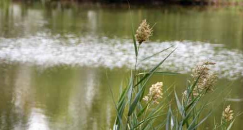 Cosa vedere a Telese Terme in un giorno: lago, terme e Valle Telesina