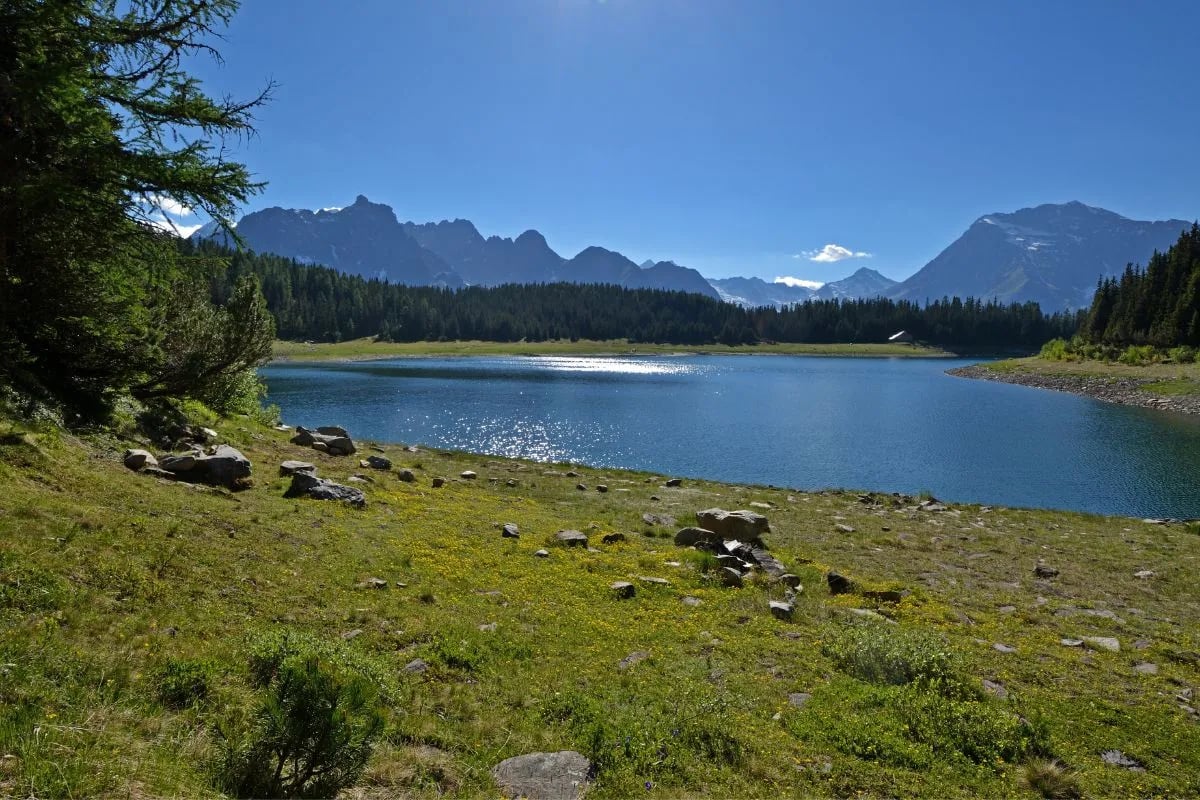 Cosa fare in Valtellina a Giugno 2025 Guida ad eventi, sagre e feste