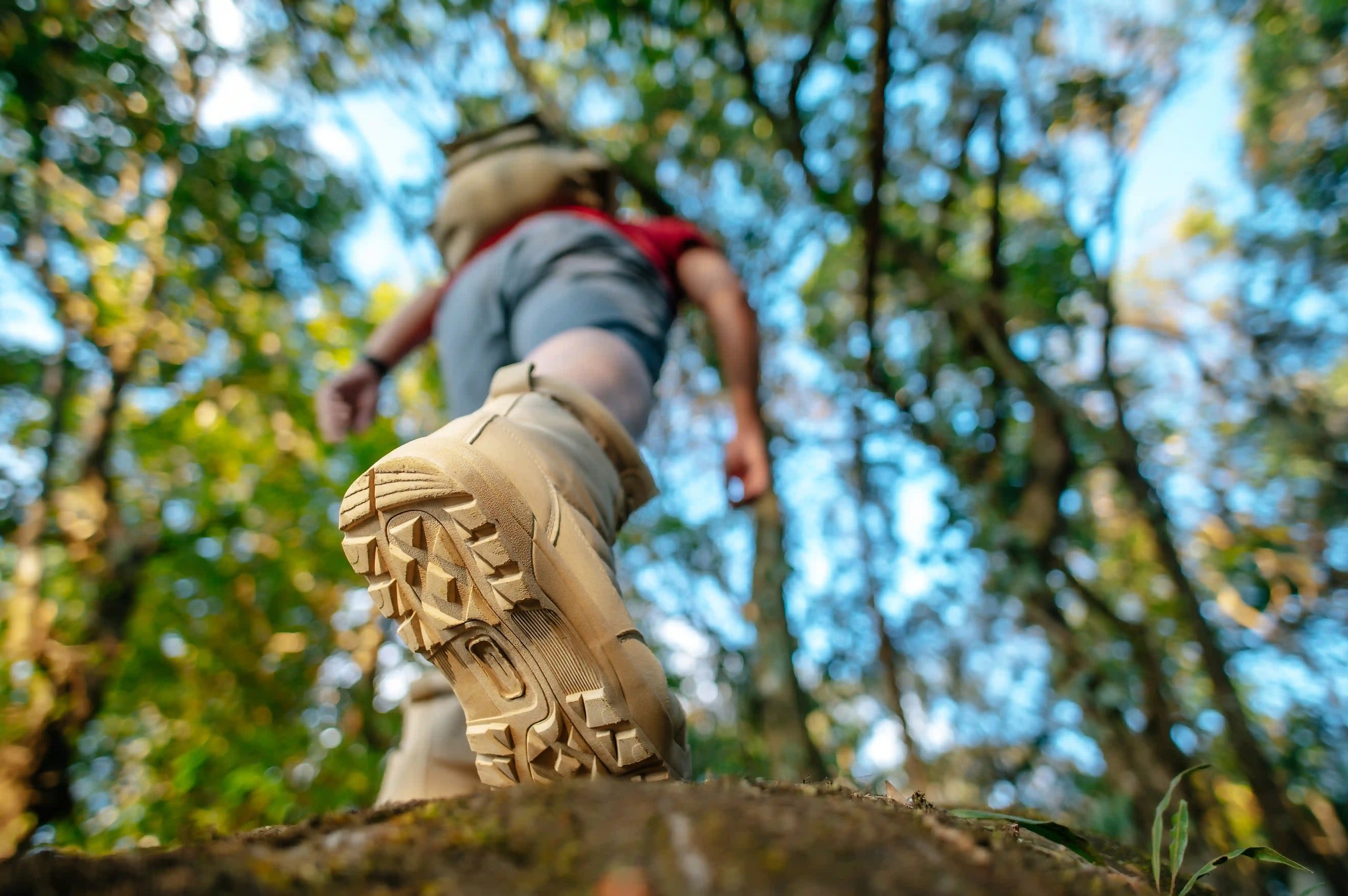 Trekking a Lapio 2026: cosa fare il 22 giugno tra ponti, vigneti e Fiano