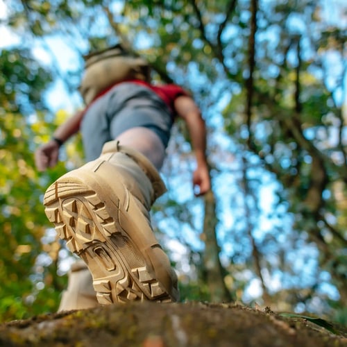 Trekking a Lapio 2026: cosa fare il 22 giugno tra ponti, vigneti e Fiano