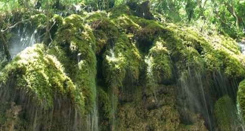 Oasi Valle della Caccia: guida al sentiero per la cascata di Senerchia