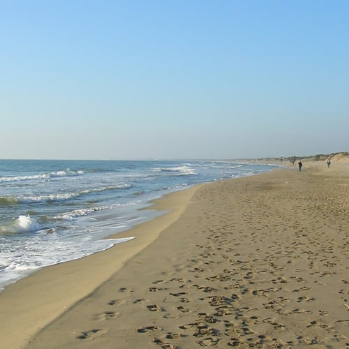 Capocotta: mare e spiaggia naturista