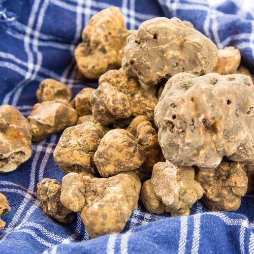 Sagra del Tartufo Bianco a Borgofranco sul Po 2026: date e programma