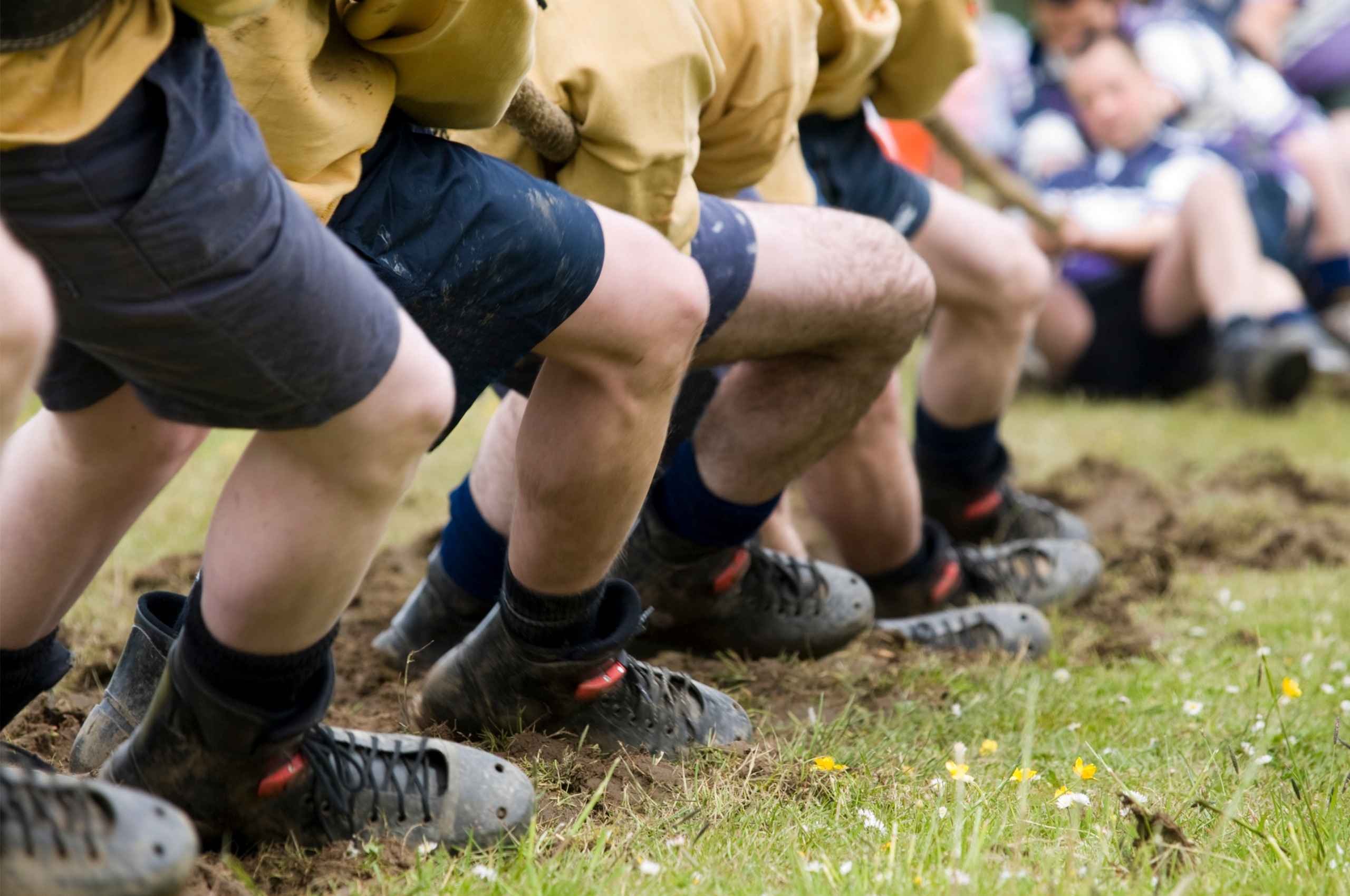 Palio di Somma Vesuviana 2026: date e programma