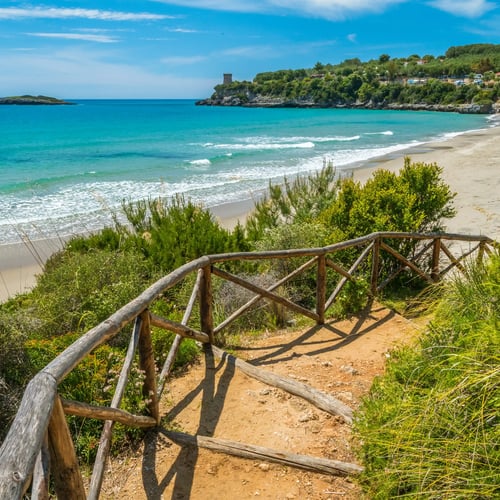 spiagge-marina-camerota