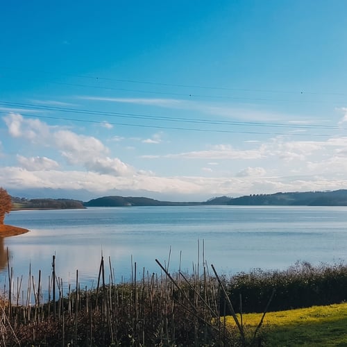 Lago di Bilancino: spiagge, attività e guida alla visita