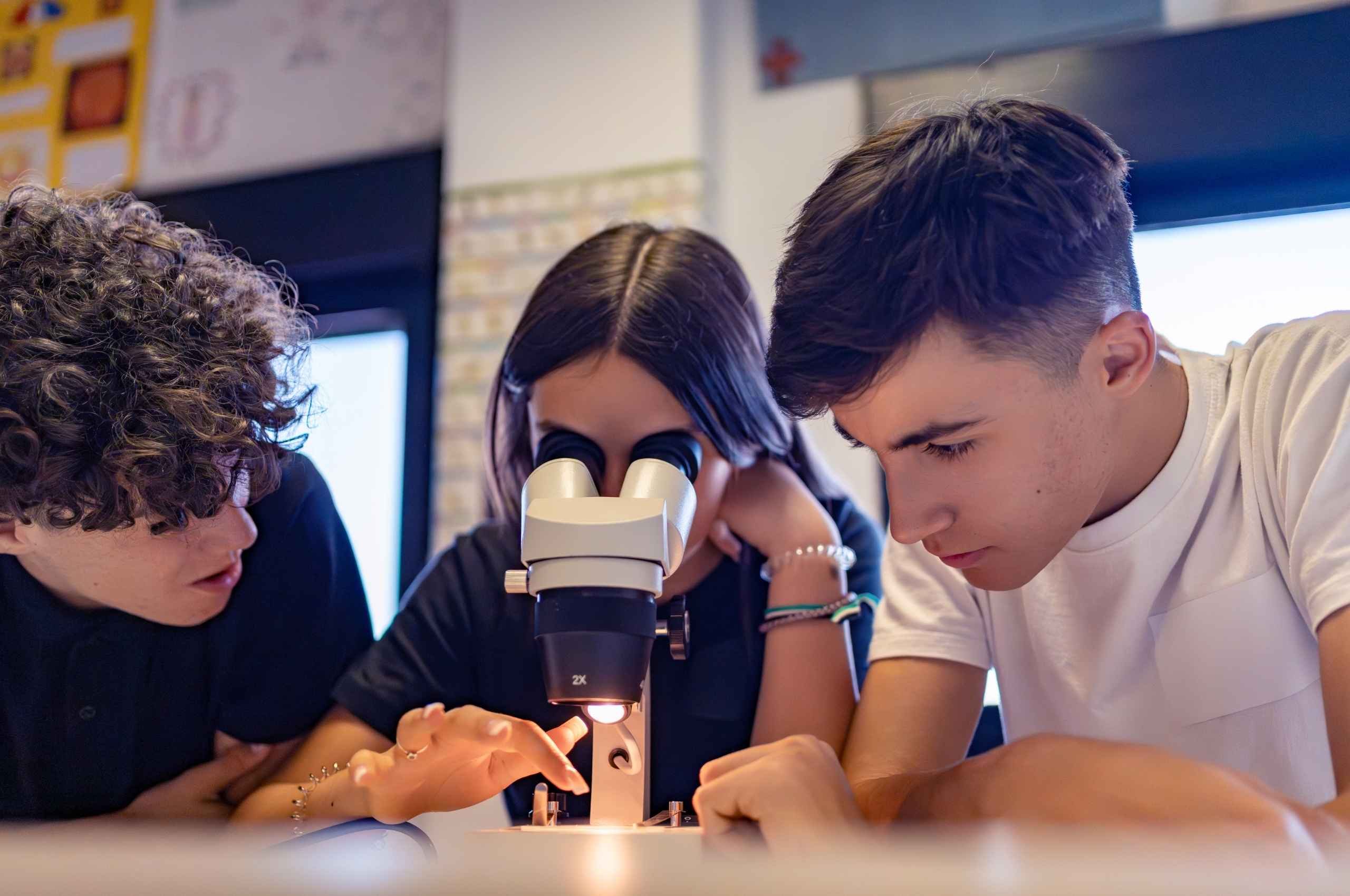 BergamoScienza 2026: 10 Eventi Gratuiti da Non Perdere con Grandi Ospiti