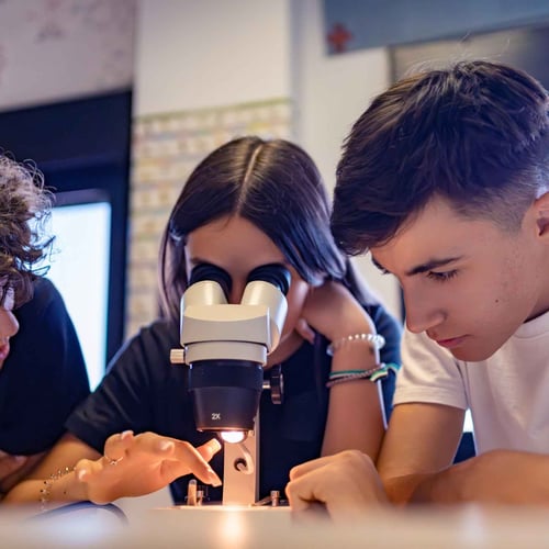 BergamoScienza 2026: 10 Eventi Gratuiti da Non Perdere con Grandi Ospiti