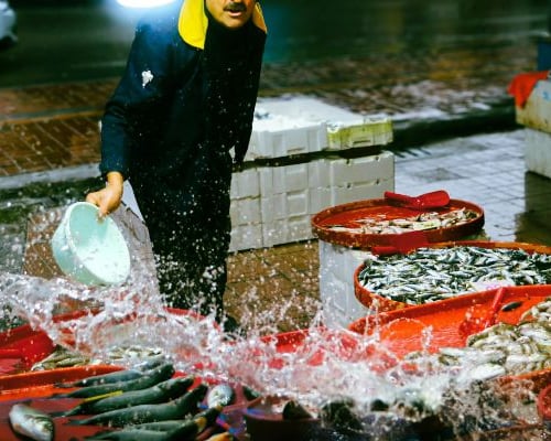 mercato del pesce a natale a napoli