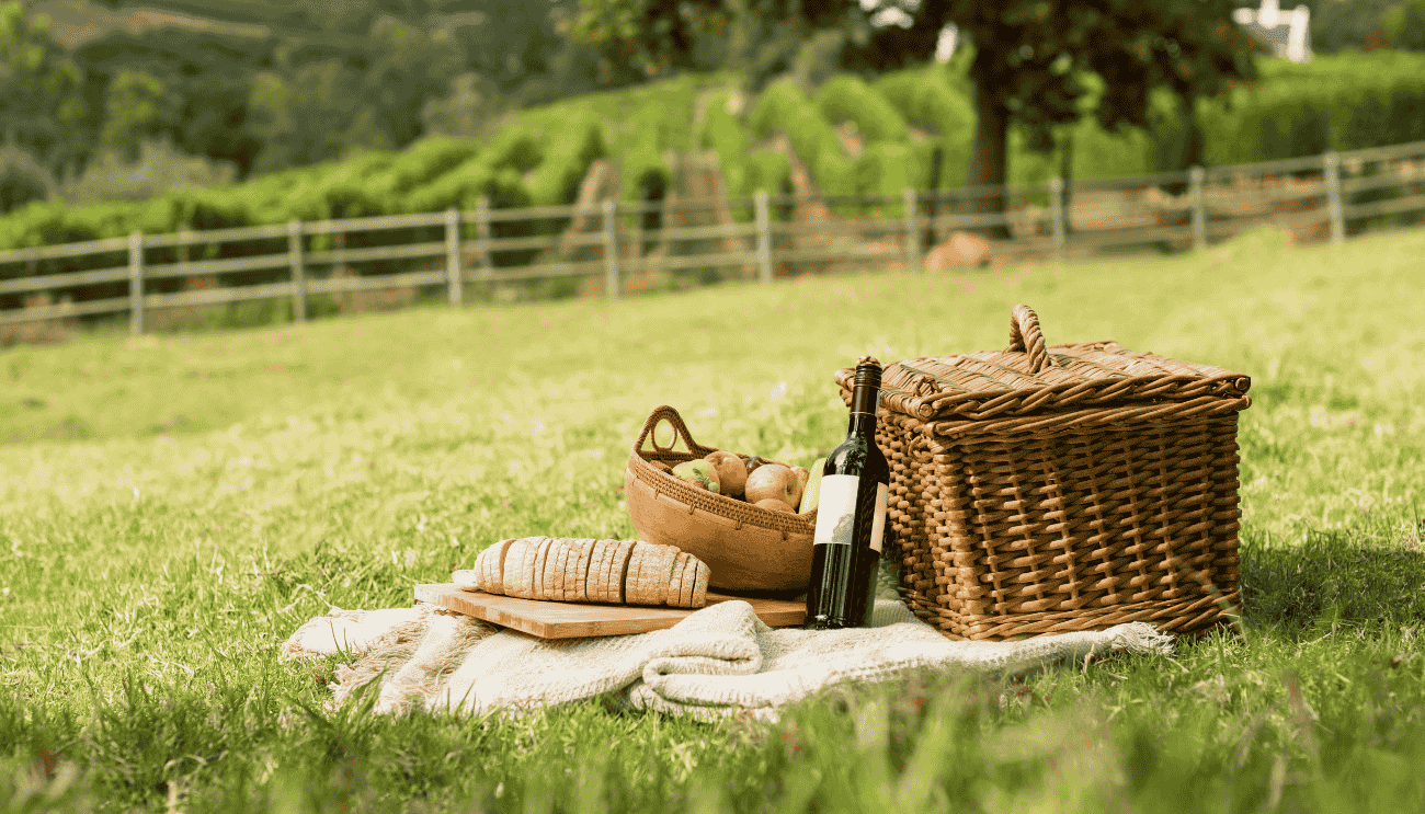 aree picnic serino