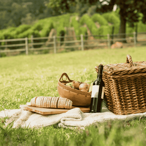aree picnic serino