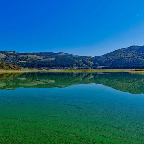 Le Migliori Aree Picnic al Lago Laceno nel 2025