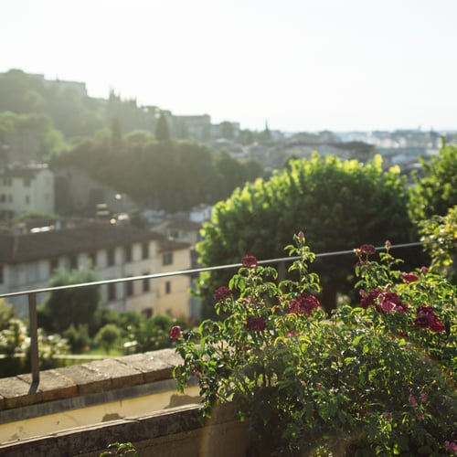 Giardino delle Rose Firenze: orari e quando andare