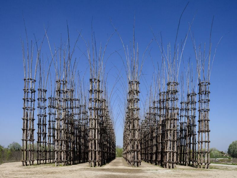 Cattedrale Vegetale di Lodi