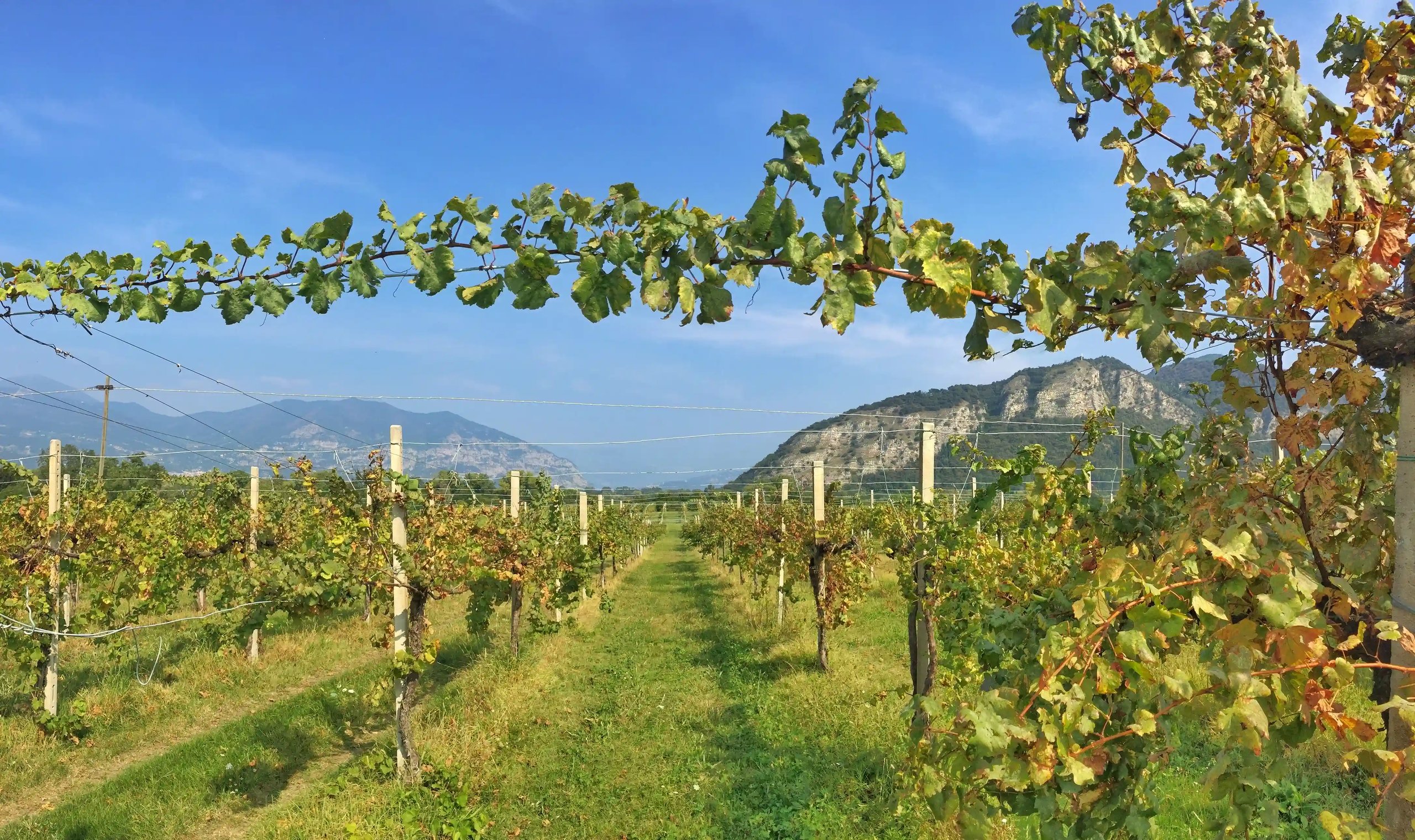 franciacorta