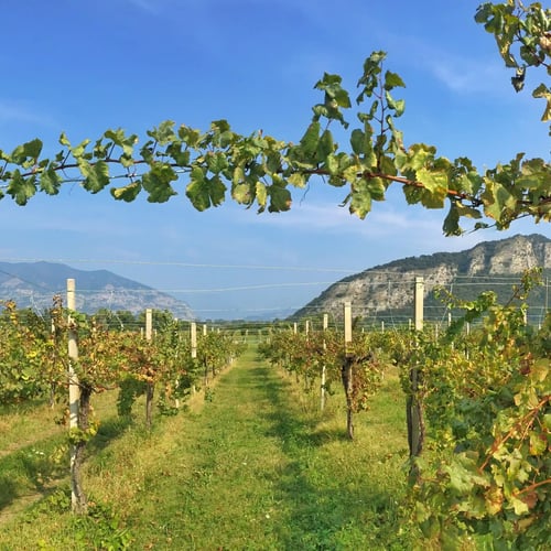 franciacorta