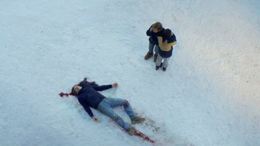 anatomia di una caduta