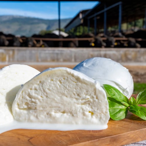 Sagra della Mozzarella di Bufala a Teano 2026: cosa fare, degustazioni e info utili