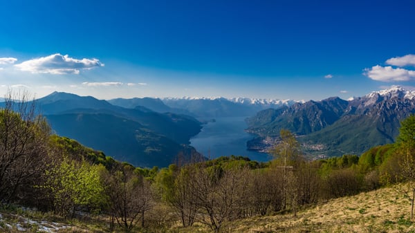 Spirito del Bosco Como