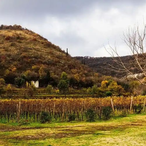 franciacorta