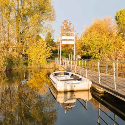 Isolino Virginia sul Lago di Varese: guida al sito UNESCO e battello