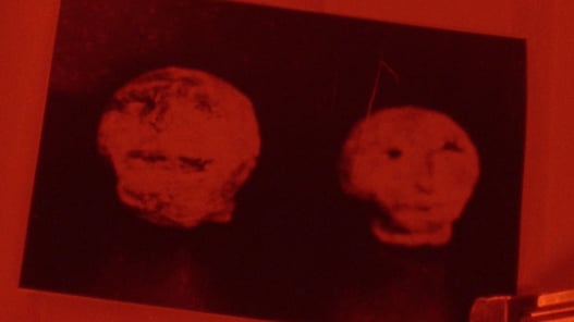 hexham heads