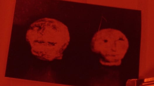 hexham heads
