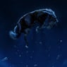 Posters & Co. - Nope, Jordan Peele, Heavy Horses e l'impossibile