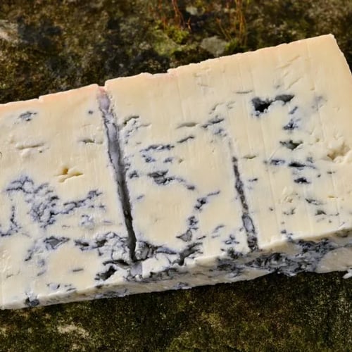 sagra del gorgonzola