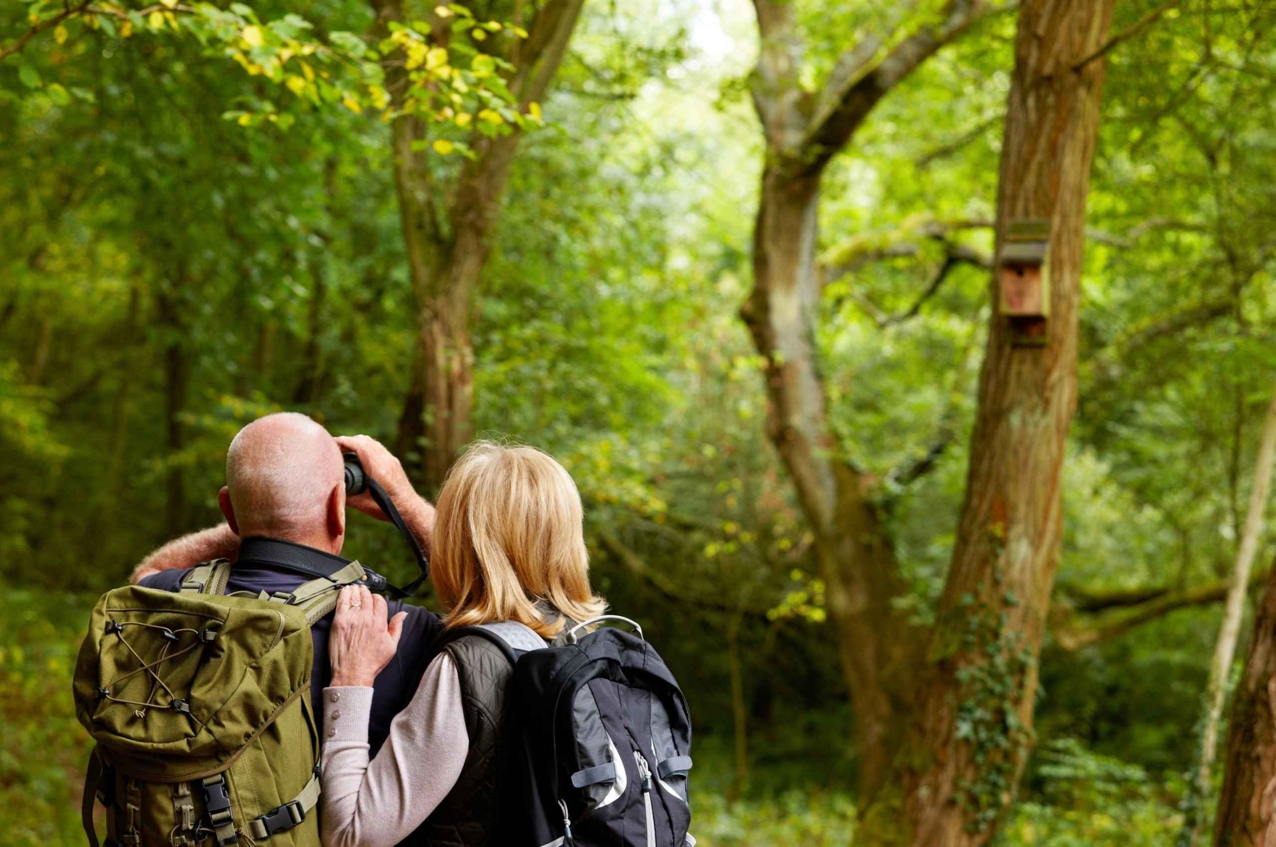 Parco delle Groane e Oasi LIPU di Cesano Maderno: Guida Pratica a Piedi e in Bici
