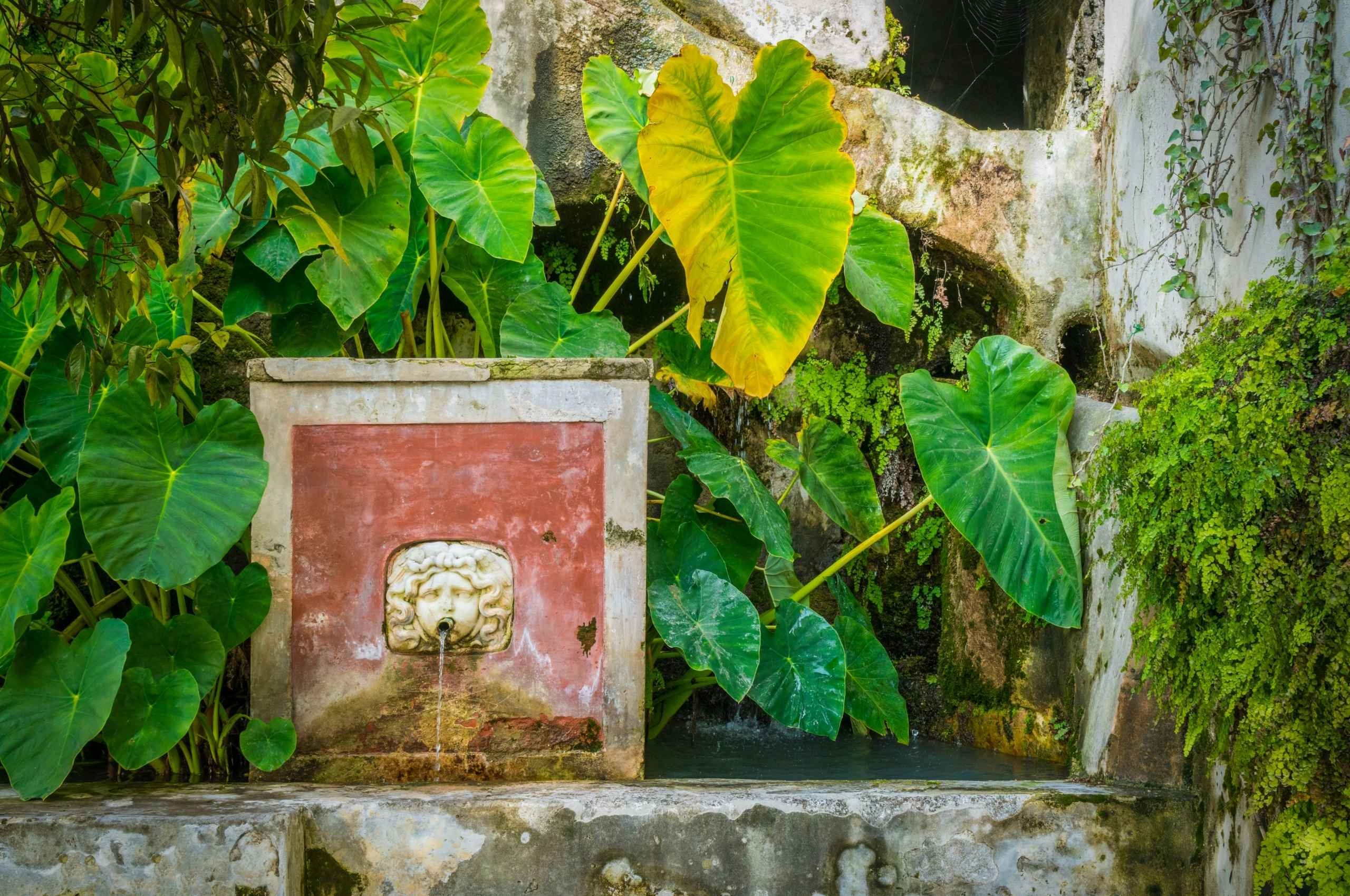 Il Giardino della Minerva: Un&rsquo;Oasi di Storia e Magia della Scuola Medica Salernitana