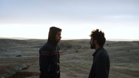 I registi di No Other Land rifiutano un accordo di distribuzione con MUBI